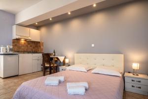 A kitchen or kitchenette at Ionian Balcony 2