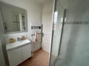 ein Badezimmer mit Dusche, Waschbecken und Spiegel in der Unterkunft Appartement la capitainerie in Cayeux-sur-Mer + 17 Fotos