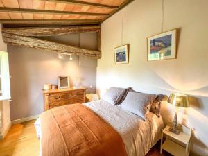 1 dormitorio con 1 cama y vestidor con lámpara en Le Castellas, demeure historique, rénovée, piscine en Collias