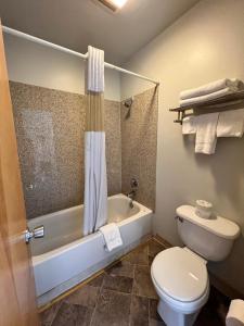 Koupelna v ubytování BIGGS NU-VU MOTEL