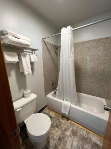 Koupelna v ubytování BIGGS NU-VU MOTEL