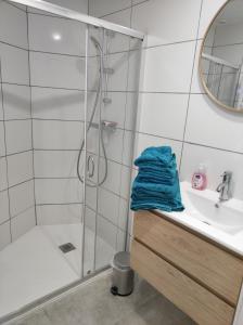 a bathroom with a shower and a sink at La maison de la plage in Plouézec