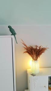 a green bird sitting on top of a refrigerator at Just 4 Soul in Liepāja