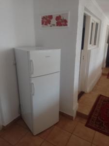 a white refrigerator in a room with a wall at Vila Popoiu in Costinesti
