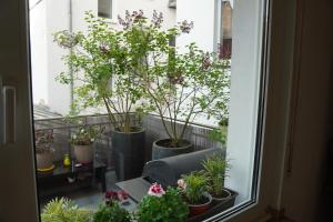 een open raam met planten in potten op een balkon bij Bright, spacious apartment with a lovely terrace in the heart of Aachen in Aken