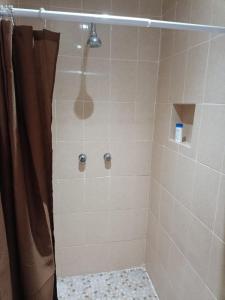 墨西哥城的住宿－Departamento Aeropuerto CDMX，浴室内配有淋浴帘。