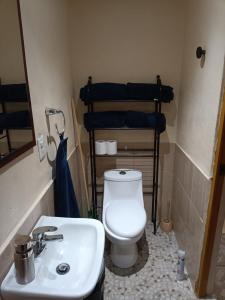 a bathroom with a white toilet and a sink at Departamento Aeropuerto CDMX in Mexico City