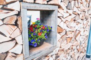 Fotografie z fotogalerie ubytování Haus Belchenwind v destinaci Münstertal