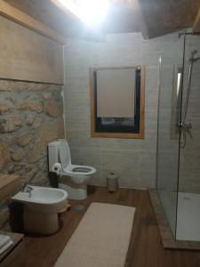 La salle de bains est pourvue de toilettes, d'un lavabo et d'un miroir. dans l'établissement Casa Tia Vina, à Arouca