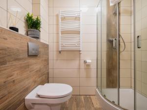 a bathroom with a toilet and a shower at Grey Hill in Szklarska Poręba