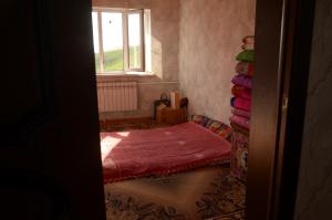 een kleine kamer met een bed en een raam bij Woody Guest House Nursultan in Kaindy