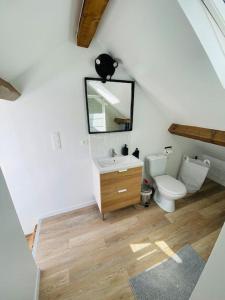 een badkamer met een toilet, een wastafel en een spiegel bij Joli Duplex à quelques pas du centre de Bayonne in Bayonne