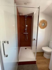 La salle de bains est pourvue d'une cabine de douche et de toilettes. dans l'établissement Studio Hyper centre avec balcon WIFI et climatisation, à Toulon