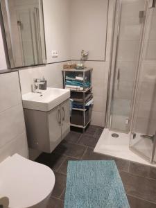 a bathroom with a toilet and a sink and a shower at Ferienwohnung Schallinger in Teisendorf