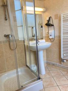 ein Bad mit einer Dusche, einem Waschbecken und einem WC in der Unterkunft Hôtel SPA Le Tosny in Épaignes