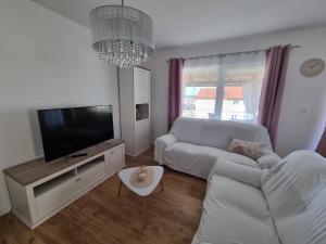 TV a/nebo společenská místnost v ubytování Apartments Manuel