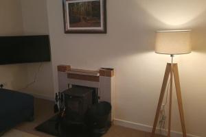 uma sala de estar com lareira e candeeiro em 3 bedroom house close to lough sheelin em Cavan