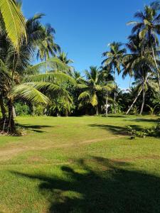 un parque con palmeras y césped en Dreamvillage en Dodanduwa