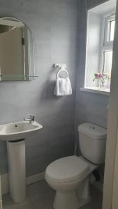 a white bathroom with a toilet and a sink at 3 bedroom house close to lough sheelin in Cavan