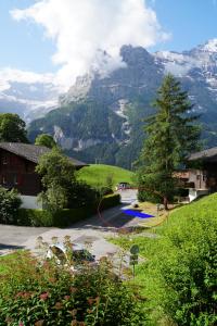 a view of a mountain with a pool in the foreground at Apartment EigerView in Grindelwald