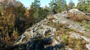 a rocky hill with grass and trees on it at Bed&Breakfast in nature 12 min from city free bikes in Stockholm