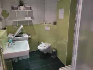 a green bathroom with a toilet and a sink at Der Landhof Wildrose in Stolpe