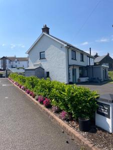 a white house with a row of bushes and flowers at Horizon View Portstewart Tourist Board approved in Portstewart