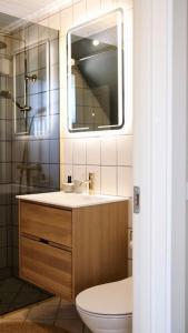a bathroom with a toilet and a sink and a mirror at Lovely villa at the foot of the Funen Alps in Fåborg
