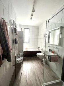 een badkamer met een douche, een toilet en een wastafel bij Wohnung mit Loggia und Stellplatz am Wenigemarkt in Erfurt