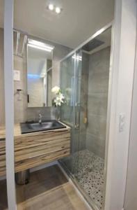 a bathroom with a glass shower and a sink at Nid douillet parisien in Paris