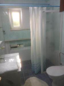 een badkamer met een douche, een toilet en een raam bij Solar Apartments in Herceg-Novi