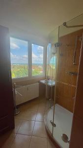 ein Badezimmer mit einer Dusche und einem Waschbecken sowie zwei Fenster in der Unterkunft Apartmán Třeboň in Třeboň