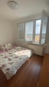 ein Schlafzimmer mit einem Bett und Fenster mit einem Bett von sidx sidx sidx in der Unterkunft Apartmán Třeboň in Třeboň