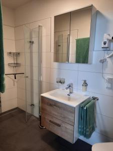 y baño con lavabo y ducha con espejo. en FEWO Wiesenschlummerland Harriersand en Schwanewede
