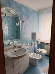 a bathroom with a sink and a toilet and a mirror at Appartemento Casa Giuli in Passo del Tonale