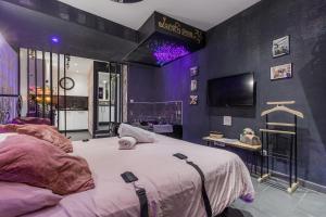 1 dormitorio con 1 cama grande y TV en LA ROMANTIQUE ROOM, en Montagnac