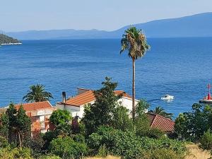 a house with a palm tree in front of the ocean at Apartment Ana - Gradac in Gradac