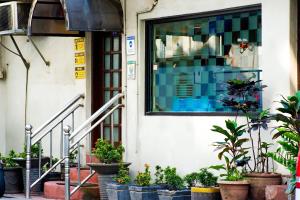 馬尼拉的住宿－利亞諾酒店，窗户前有盆栽植物的建筑