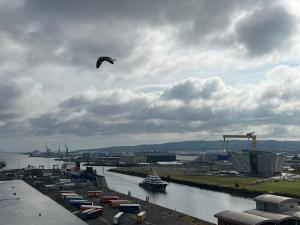 un aquilone che vola nel cielo sopra un fiume di James Clow Bed & Breakfast a Belfast