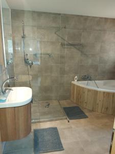 a bathroom with a shower and a tub and a sink at Penzion - VILA VERI 1 in Ostrava