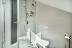 a bathroom with a shower and a toilet at Loft Schwenck in Kressbronn am Bodensee +10 photos