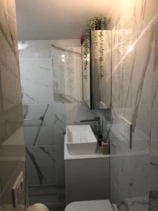 Un Passo dal Cielo...Apartment في San Potito: حمام أبيض مع حوض ودش