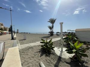 een zandstrand met palmbomen en een gebouw bij Apartamento Paraíso del Sol in Torrox Costa