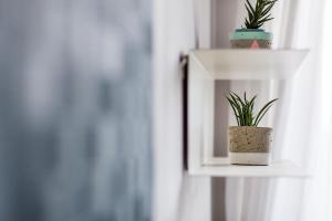 Fotografie z fotogalerie ubytování Quattro Loft Hostel v Gdaňsku