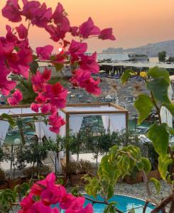 een uitzicht vanaf het balkon van een resort met roze bloemen bij Bellavista Apartments Bougainville Bay in Sarandë