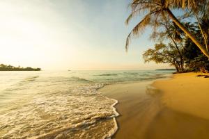 a beach with a palm tree and the ocean at Seacret KohKood เกาะกูด in Ban Lak Uan