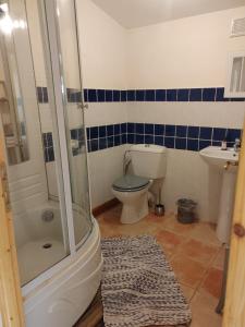 a bathroom with a shower and a toilet and a sink at Chambres d' Hôtes des Glands ' heures in Saint-Martin-de-Gurçon