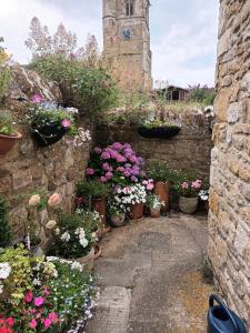 a garden with potted flowers and a clock tower at Number Five in Abbotsbury