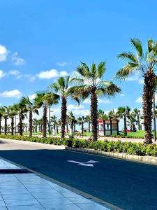 a swimming pool with palm trees in a resort at شاليه بورتوسعيد in Port Said