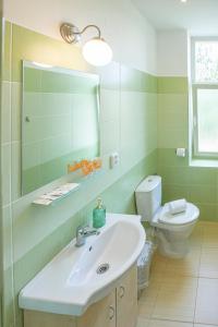 a bathroom with a sink and a toilet at Pension v parku Český Šternberk in Český Šternberk